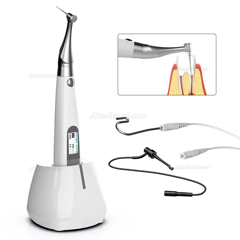 Betterway EP Pro Dental Brushless Endo Motor Built-in Apex Locator
